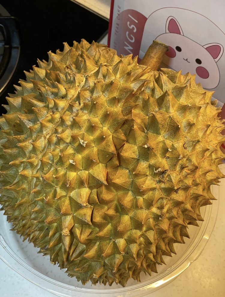 ling_muxue's tweet photo. Ha ha, this is the king of fruits Oh, high nutritional value, like.😍😍 https://t.co/7POVpusC1l