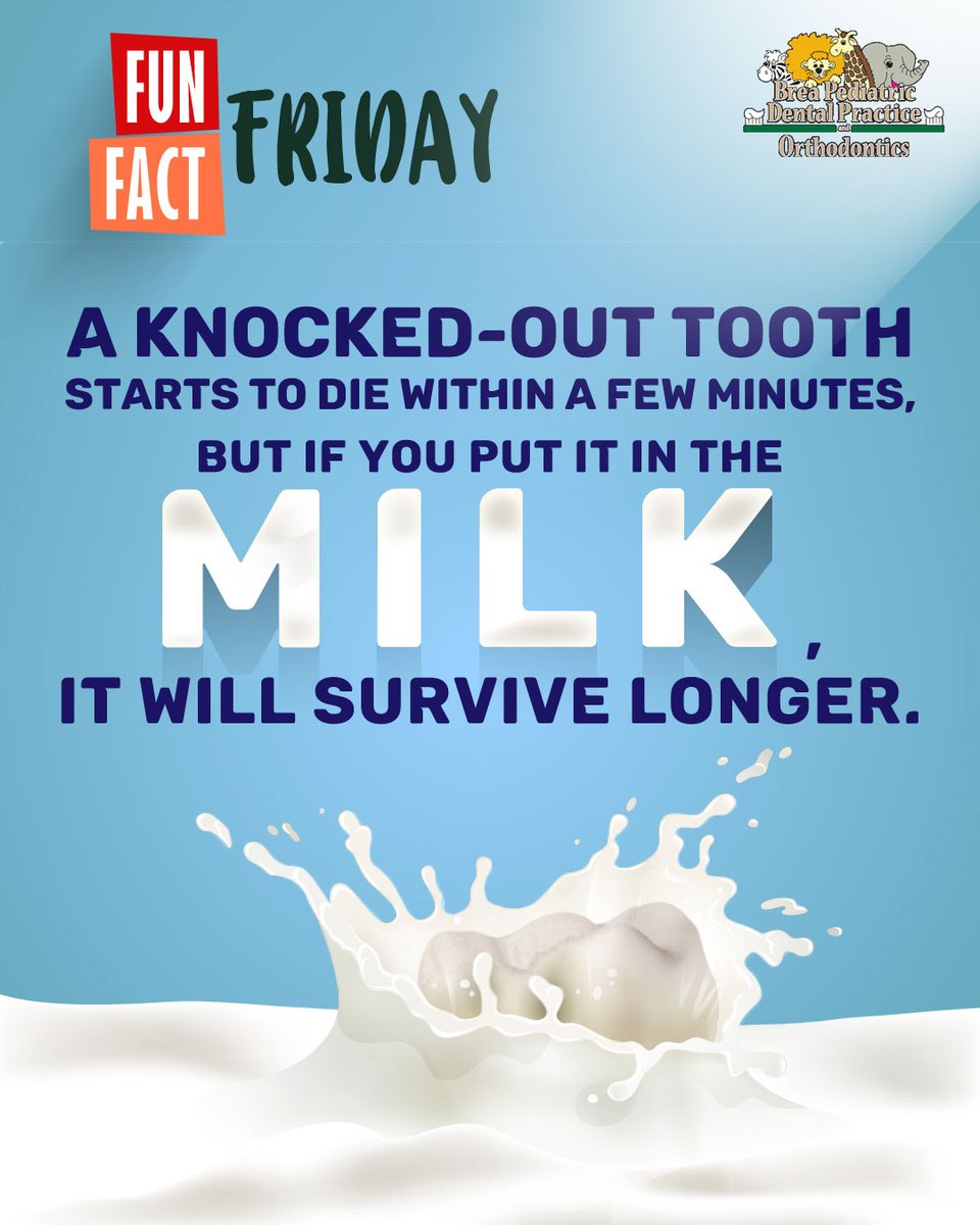 DavidMKangDDS1's tweet image. #FunFactFriday 🤓

A #knockedouttooth 🤜🦷 starts to die within a few minutes ⏱, but if you put it in the #milk 🦷🥛, it will survive longer while you rush to the #dentist. 🦷👩‍⚕️

#funfactfriday #dentalfacts #dentistry