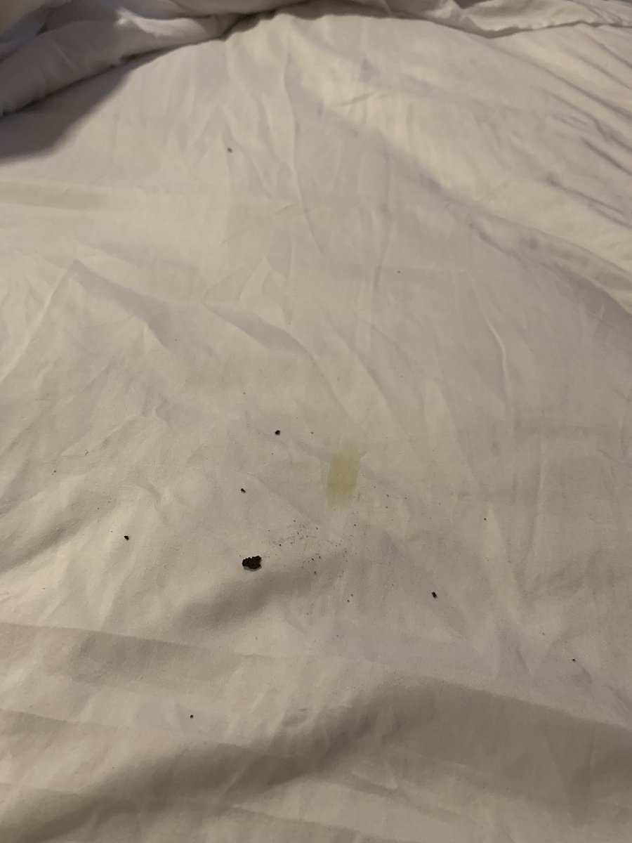 DJPB1's tweet photo. @HiltonHotels this what your guest are treated to when arriving and then asked to change the sheets themselves after driving 9 hours. #craptreatment https://t.co/UKLt8w3z2c