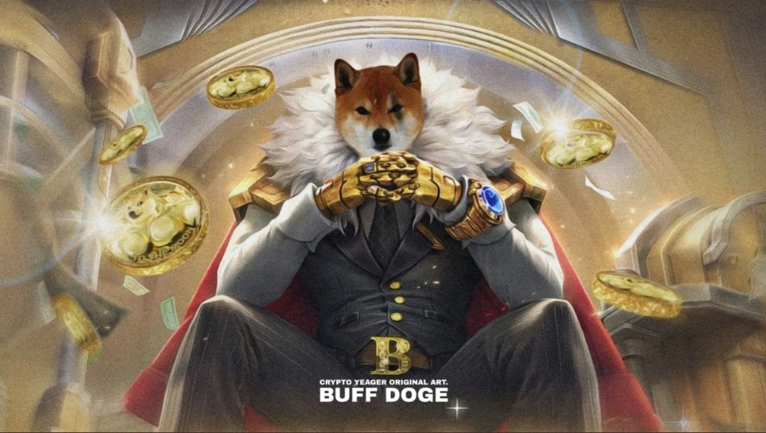 Mankolek's tweet photo. @DaCryptoGems07 #buffdogecoin 💪💪🔥🔥🚀🚀 https://t.co/LBpkuD3A4v