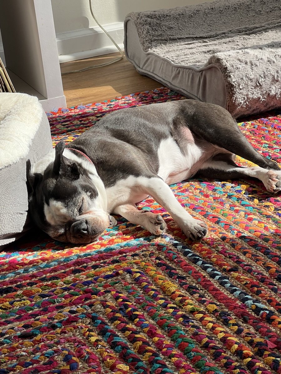 WWJD_2020's tweet image. When you lose the love of your life, but @jimmykimmel makes you a bit happier