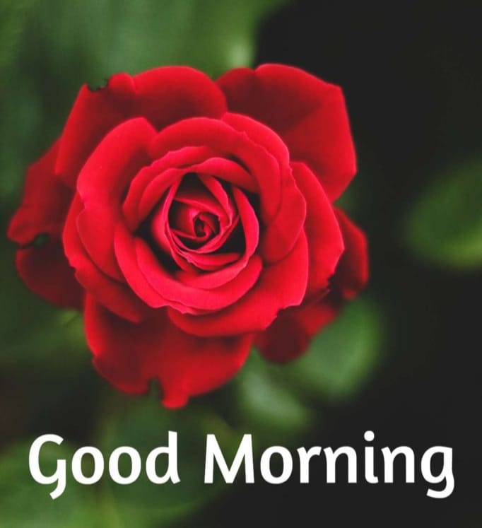 HelpfullTs's tweet image. 