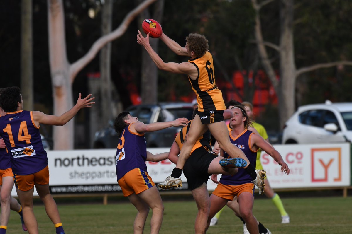 Aydin Payne tweet media