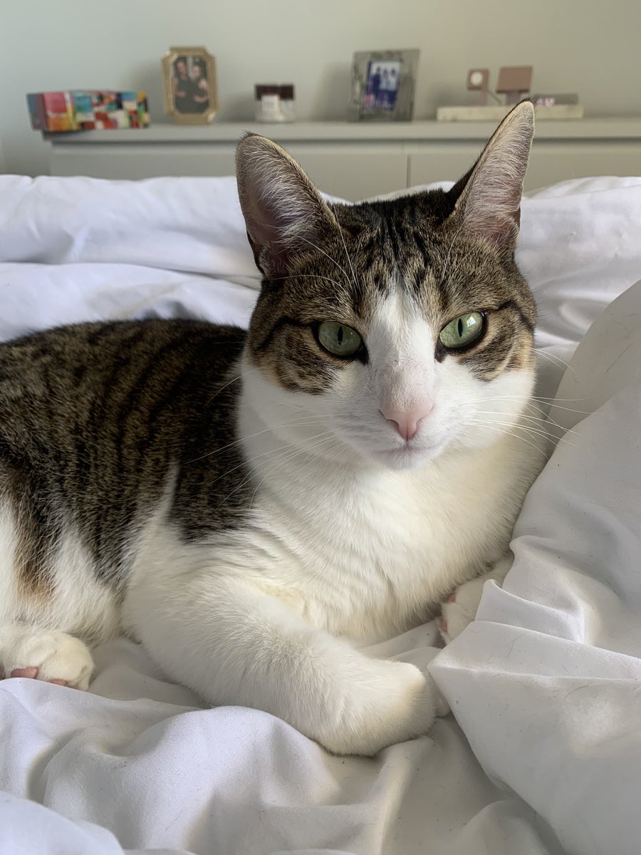 offbrancran's tweet image. Tweeting this photo simply so I can pin it to the top of my profile.