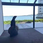 minamaのツイート画像