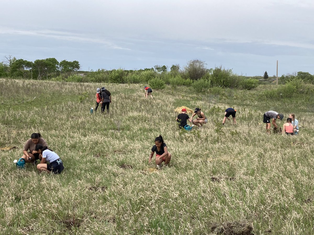 SPSBrightwater's tweet photo. @ScienceTrek helped us celebrate arbor week by planting dozens of hawthorne, raspberry, red osier dogwood, and prickly rose in our food forest. This amazing crew capped of the day by biking home! 🌳🚲☀️@StoonPubSchools https://t.co/6JPMWf7DSc