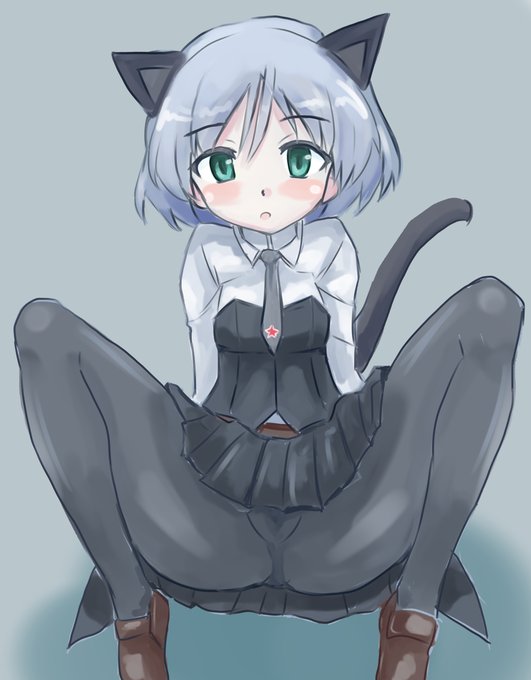 髭侍㌠へ科せられた負債は『サーニャ・V・リトヴャクのM字開脚』絵です 