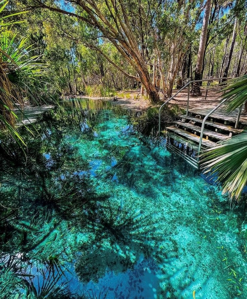 MaximusCampers's tweet photo. Turquoise #paradise awaits at #BitterSprings
in #ElseyNationalPark, just an hour south
of #Katherine.
@OutandAboutAustralia
#NTAustralia #seeaustralia https://t.co/Y2RfVTWXIu