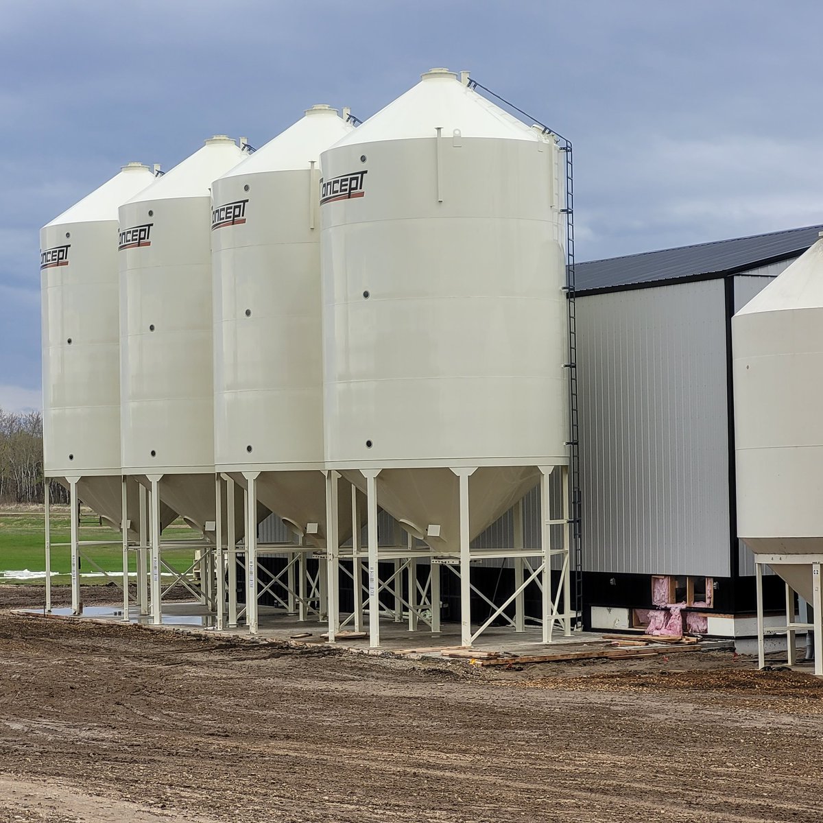 KBIprocessing's tweet image. We are exciting to be expanding our ability to add value to Canadian grown agricultural products with the addition of a colour sorter, bagging line, loading dock and full length scale.