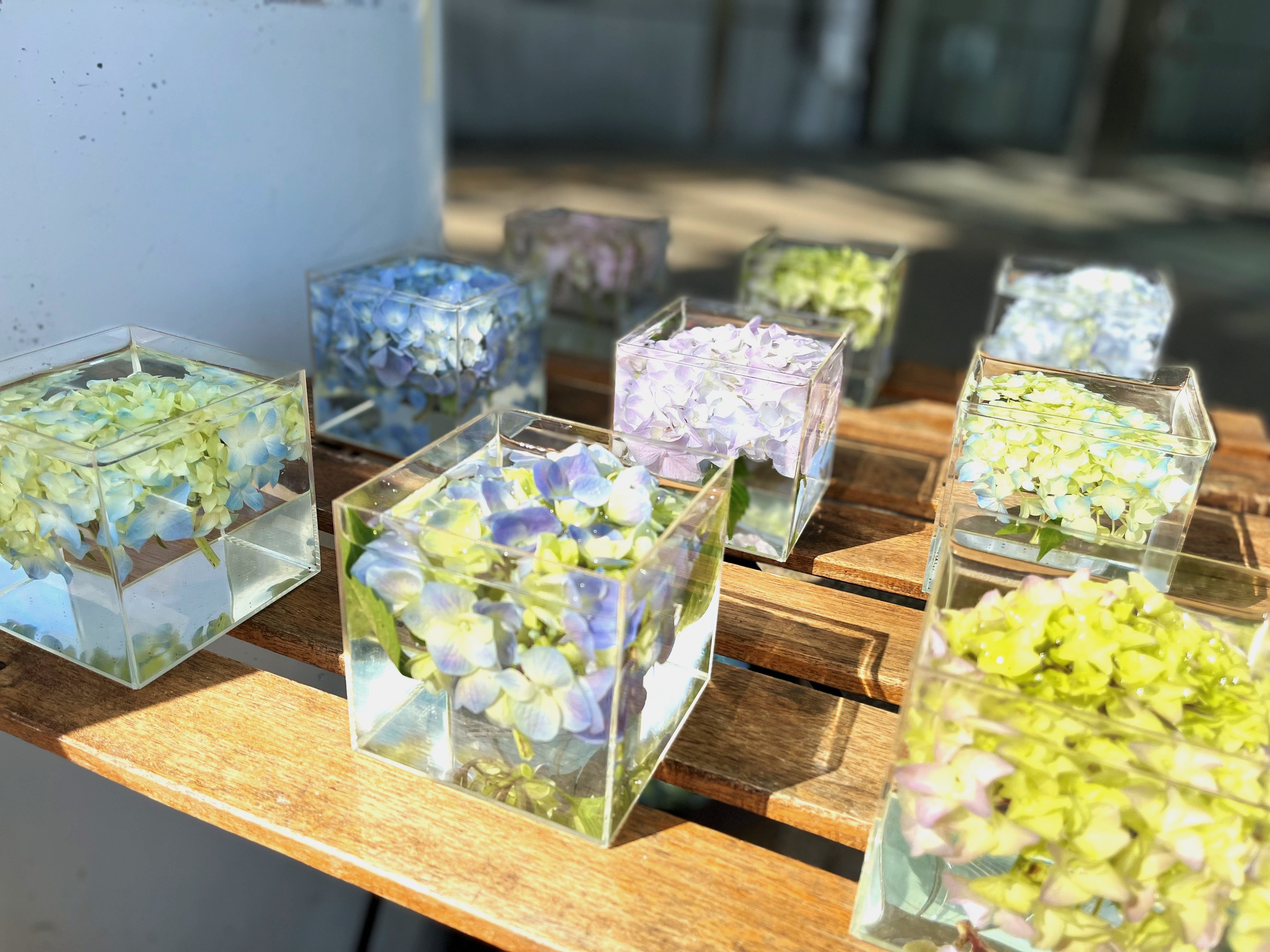 長居植物園 Nagaib Twitter