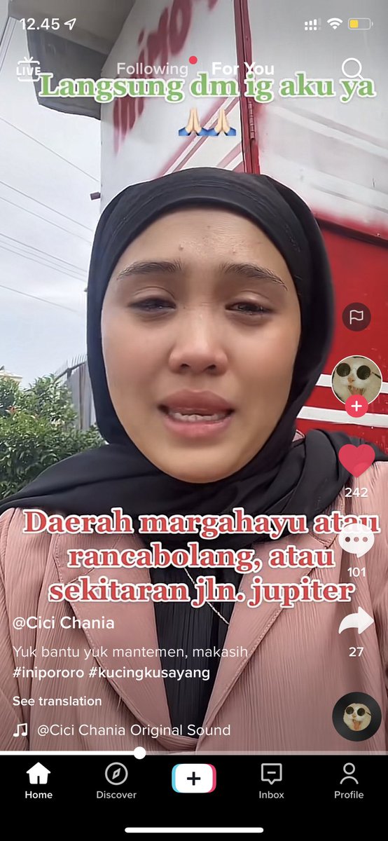 🐈‍⬛ GUYSSS Pororo hilang di daerah bandung🥺🥺😭 yang sedom bisa bantu ownernya mungkin🙏🏻