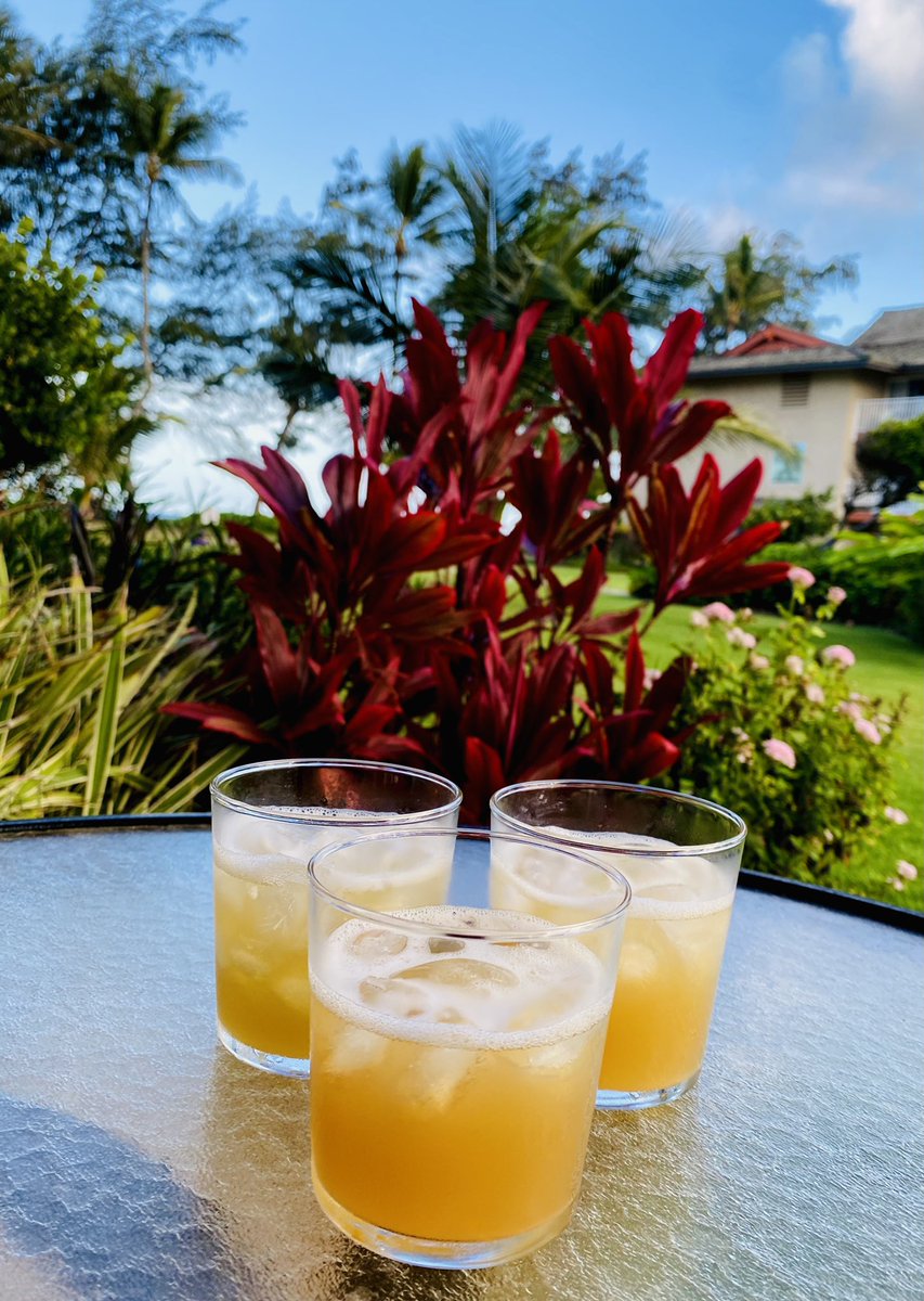 AmirR79's tweet photo. When in #Kauai, make your own ‘44 #MaiTai. #denizenrum #cheers https://t.co/Yg8MMgFMPf