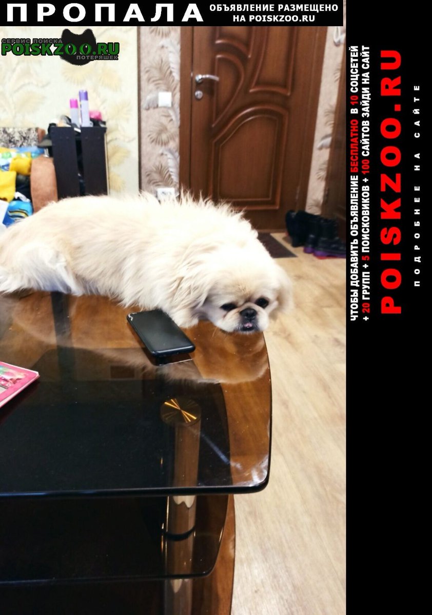 POISKZOO.RU™ tweet media