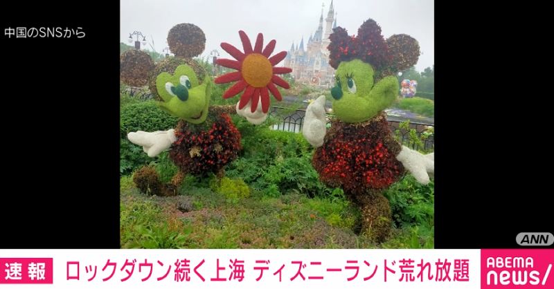 News_ABEMA's tweet photo. 【ニュース速報】
上海ディズニーランド ロックダウンで変わり果てた姿に 再開目処は立たず

#アベマニュース