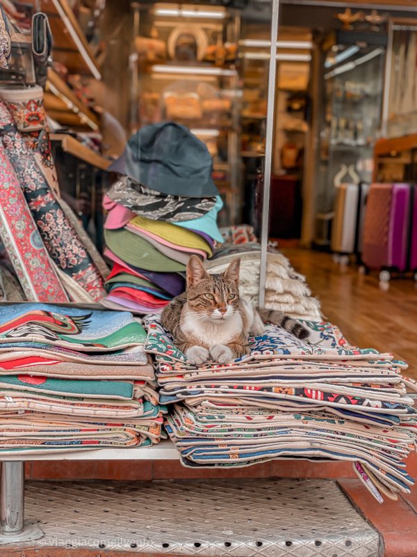 SimonaPasquino5's tweet image. Ultime ore ad Istanbul per ammirare la più bella: la Torre di Galata  #Turchia #hellotürkiye #Turkey #gotürkiye #onlyinTürkiye