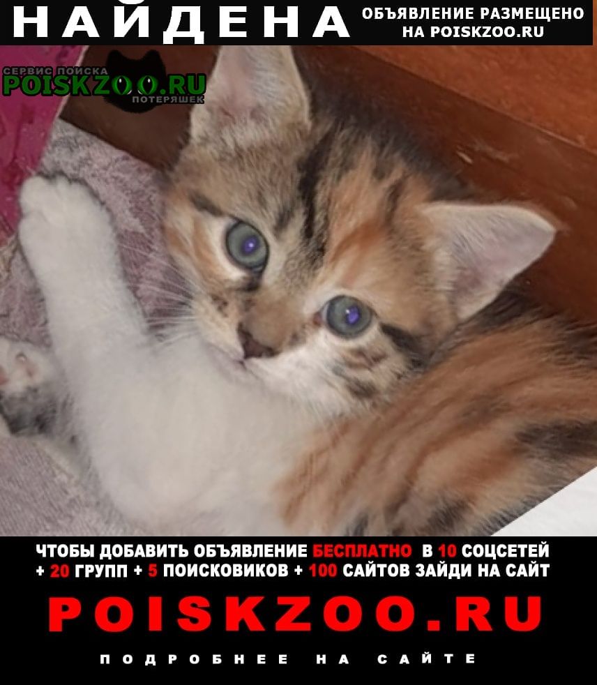 POISKZOO.RU™ tweet media