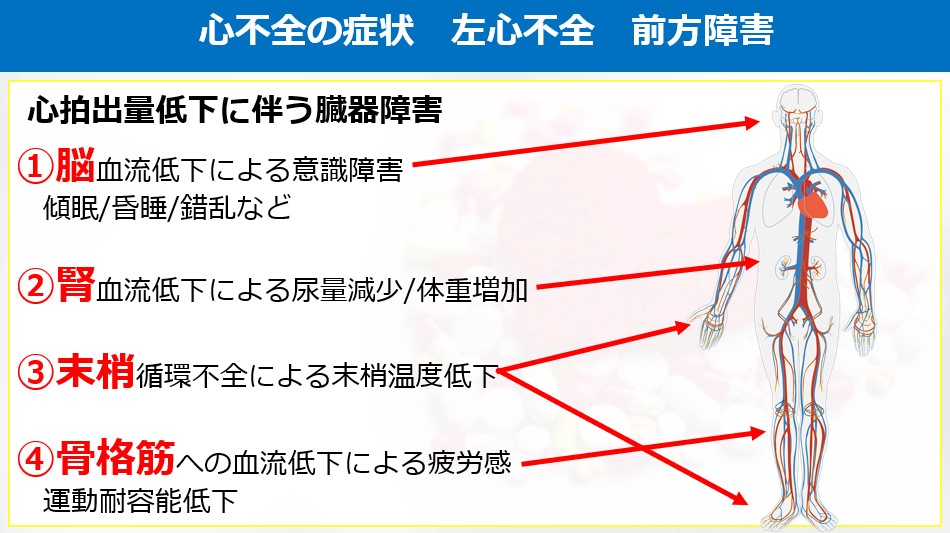 かさけん ｜心リハ専門の理学療法士 tweet media