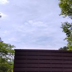 ツイートに含まれる画像