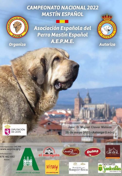 Este fin de semana no dejéis de disfrutar del Torneo Pequeños Gigantes en la Plaza del Ayuntamiento y del Campeonato Nacional de Mastín Leonés. #planesfindesemana #astorga #mastínleones #ajedrez #campeonato #turismo #ayuntamiento