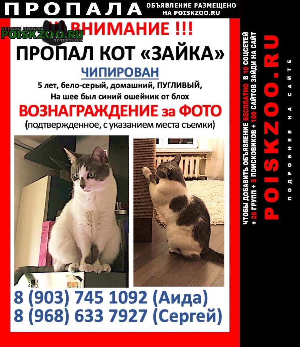 POISKZOO.RU™ tweet media