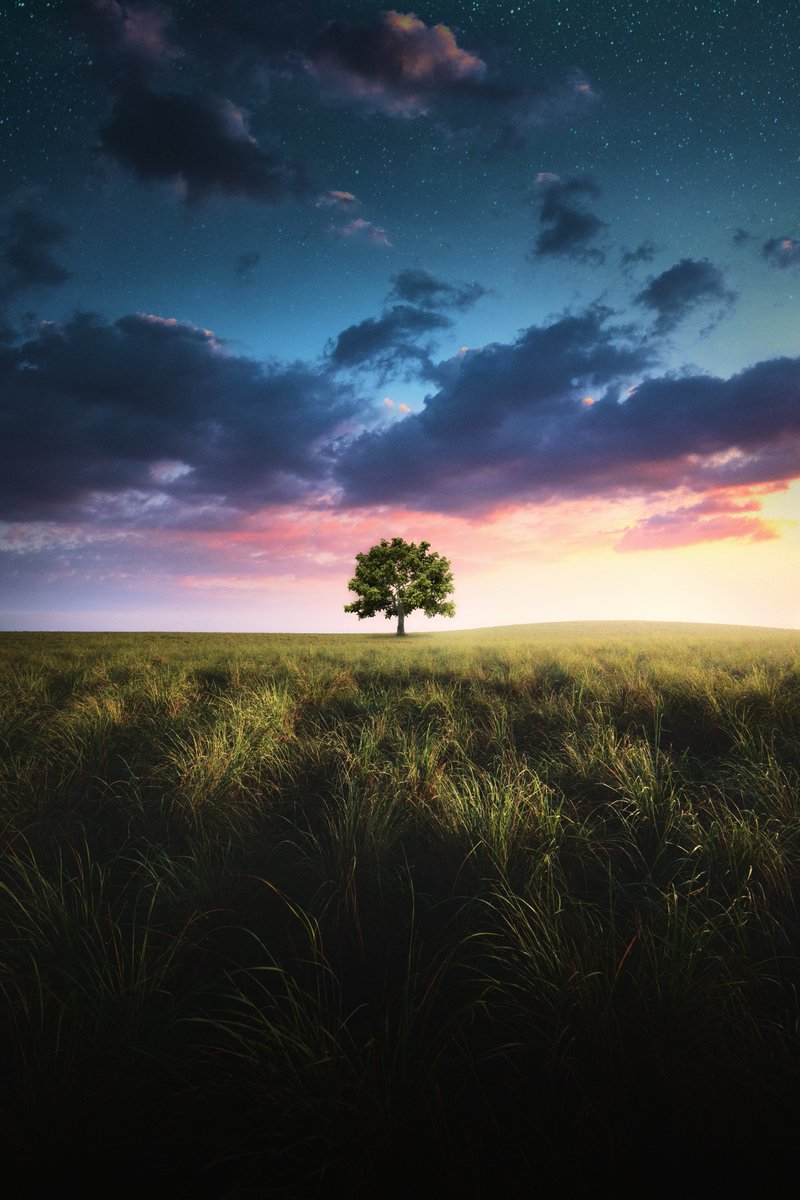 Amaurie Ramirez tweet media