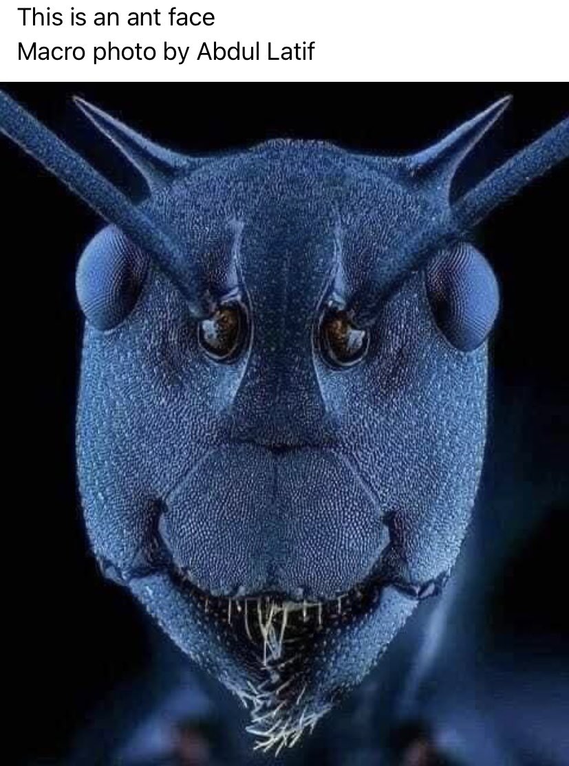 PatesBiology's tweet photo. Great photo https://t.co/tWlhTPcA7C