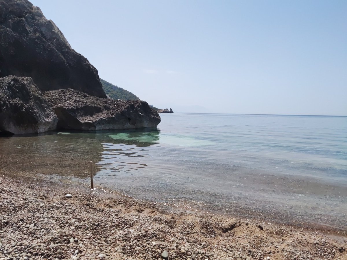 andrkary's tweet image. 