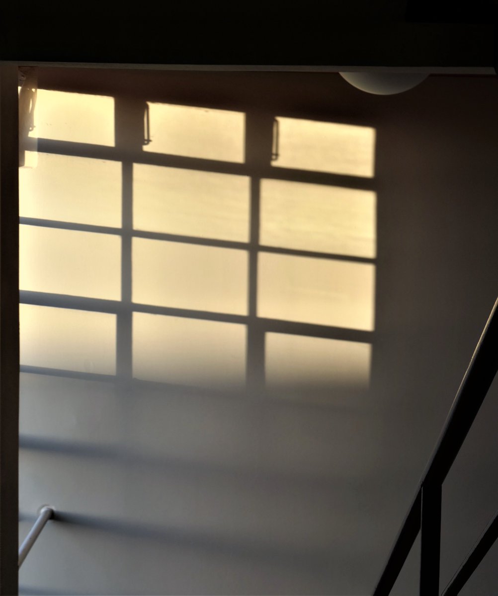 lizzy_mueller's tweet photo. @fotomenschen 'Gegensätze' #FotoVorschlag #365Projekt #52Projekt

!B https://t.co/9MZKmzJUO1
