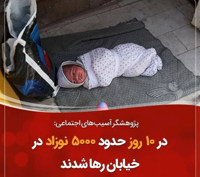 jense_aval's tweet photo. پس از انتشار خبر پیدا شدن نوزادی در سطل زباله #نازی‌آباد، تحلیل‌های مختلفی از این اتفاق بیان شد و برخی آن را به قانون حمایت از خانواده و جوانی جمعیت ارتباط دادند. حتی در این بین سر و کله آمارهای عجیب و غریبی هم نظیر آنچه در پست زیر آمده است، پیدا شد که به تحلیل آن میپردازیم.
1/10 https://t.co/GBZ4Ckml35