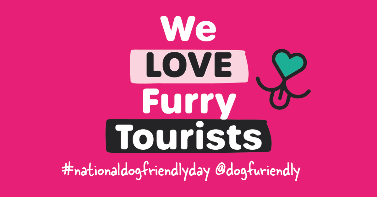 dogfriendlyday_'s tweet photo. Yes we do ❤️ https://t.co/zg0iJbBwGr
