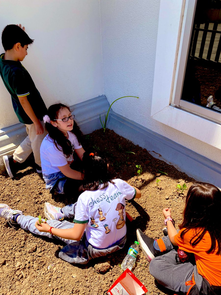 <a href="/dogaokullari/">Doğa Koleji</a> Halkalı kampüsünde fidelerimizi toprakla buluşturduk. Üretimin hazzını yaşıyoruz. Bu topraklarda, emek var, alın teri var. Elbette ürün olacak 🙏🏻 ☘️ Bu vermli topraklar gençlerin ellerinde yeşerecek. <a href="/fserkanbalci/">Serkan BALCI</a> <a href="/MerveTopcuoglu/">Merve Topçuoğlu</a>