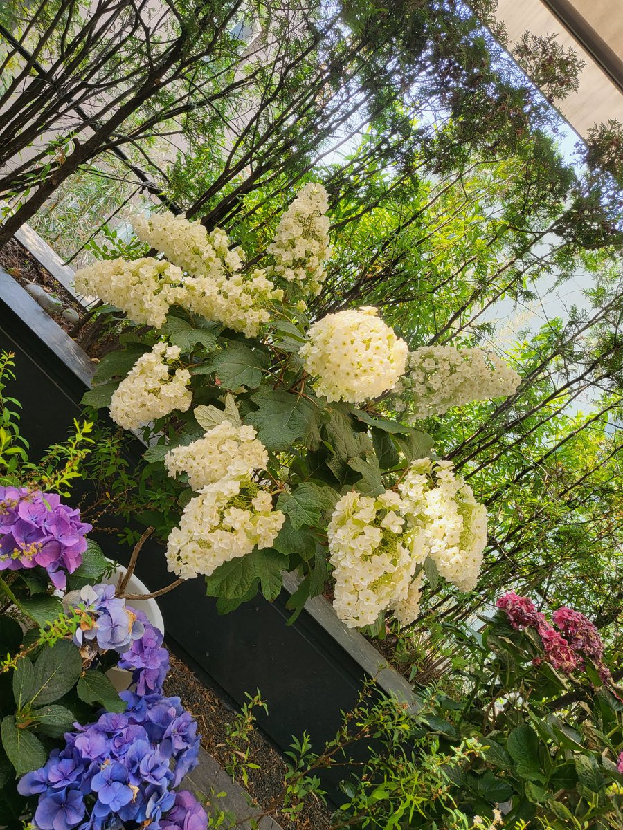Mybabygunwoo's tweet photo. 🌼🌱 https://t.co/YZ6wgxXq1W