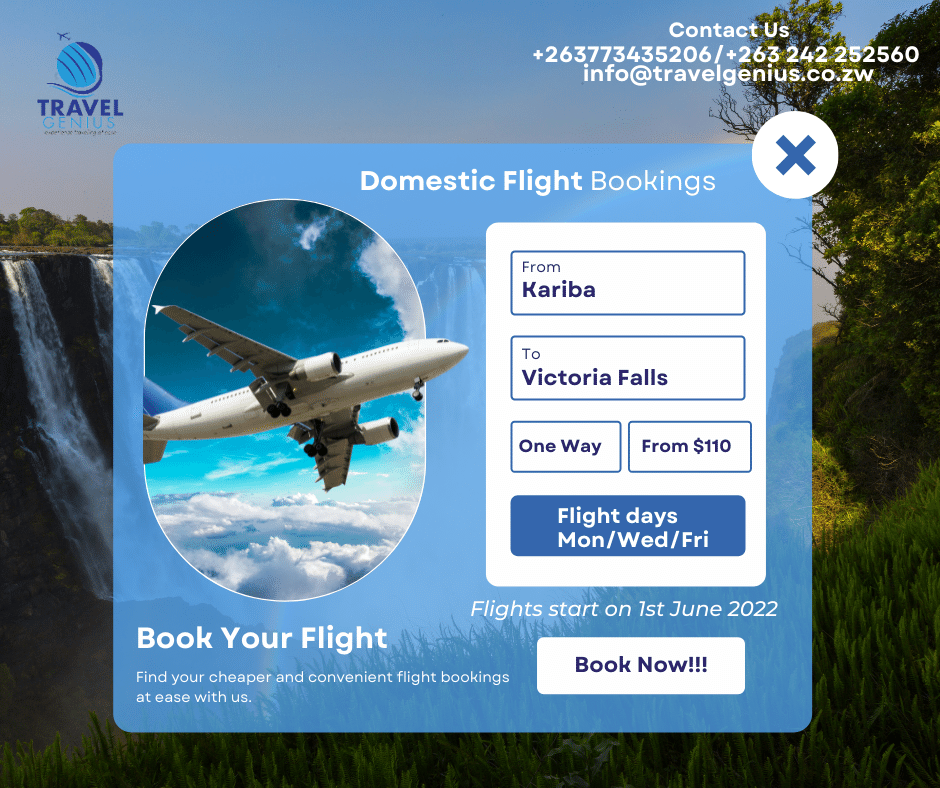 TravelGenius3's tweet photo. As of the 1st of June 2022, you can book your one-way #flights with us from #Kariba to #Victoria_Falls for as little as $110USD.
Simply DM us for more info. With us, you travel at ease. https://t.co/479hKuQCsU
