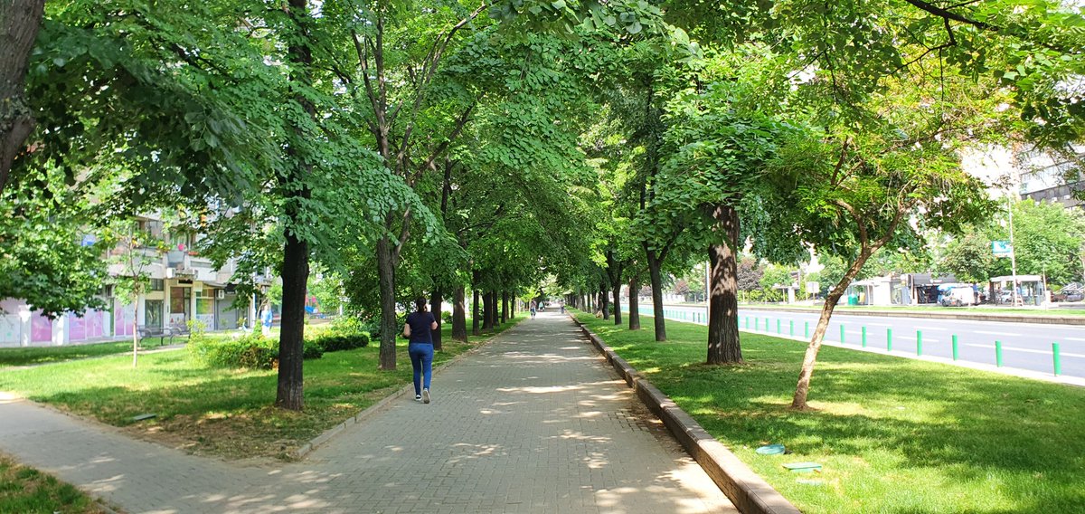 JBTasevska's tweet photo. Love Skopje morning walks. Someone built smart, for us to enjoy nowadays. Which makes me question what are we building today for our grandchildren to enjoy in 30 years? Or do we build at all but destroy? 😞 https://t.co/HgMKNOGgfR https://t.co/VzSey5gG89
