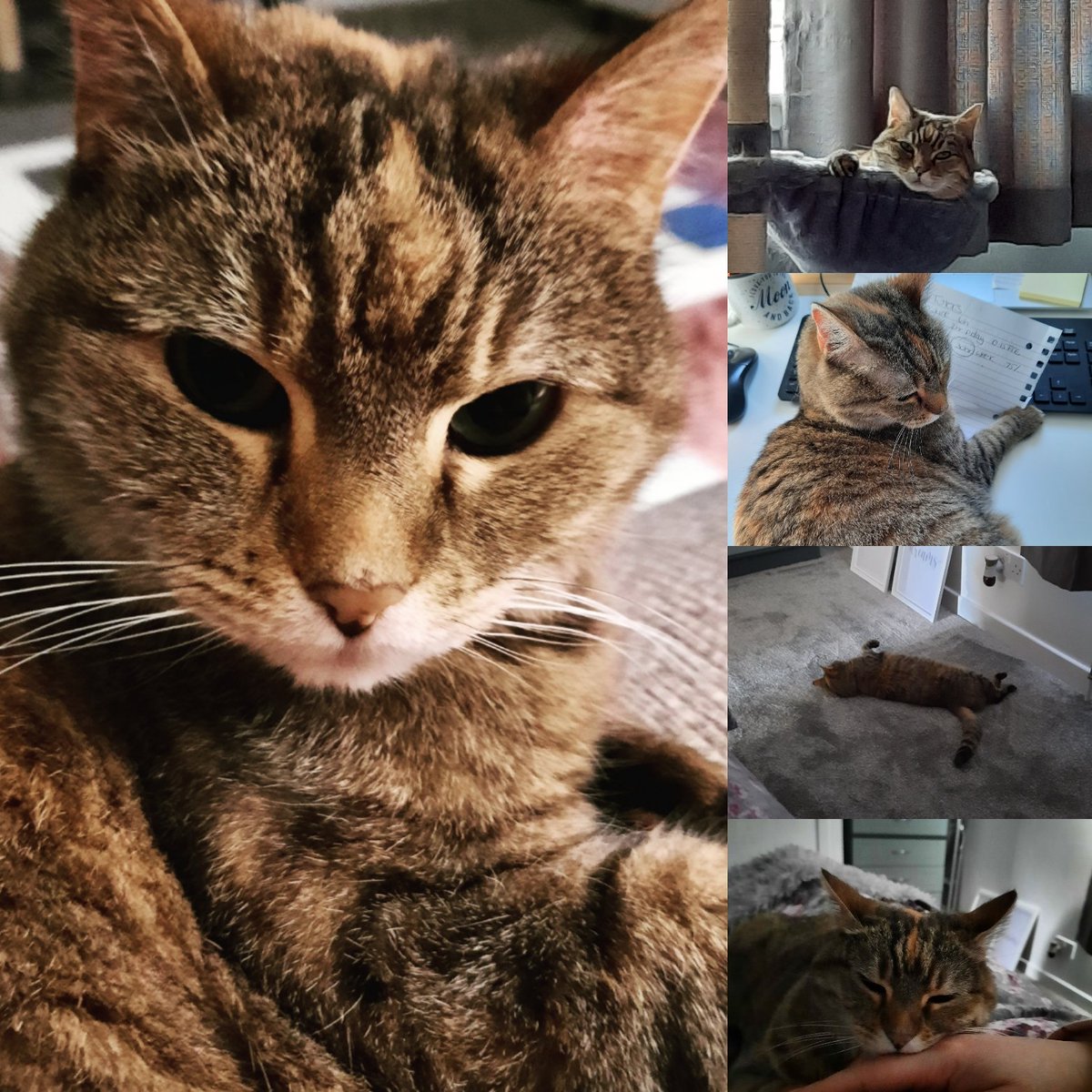 DelicateDeviant's tweet image. 💔🌈😭