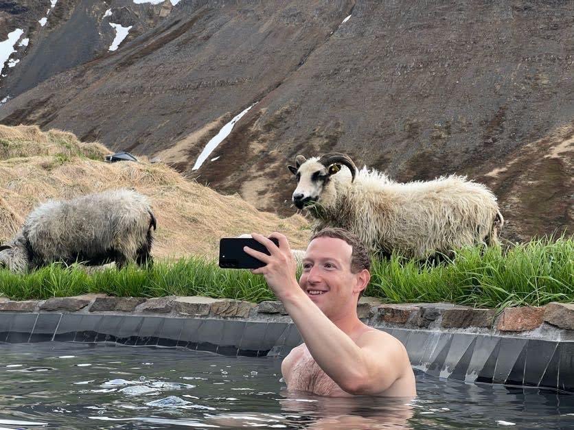 Zuckerberg: This will be a great meme.
Sheep: It's pronounced meme.