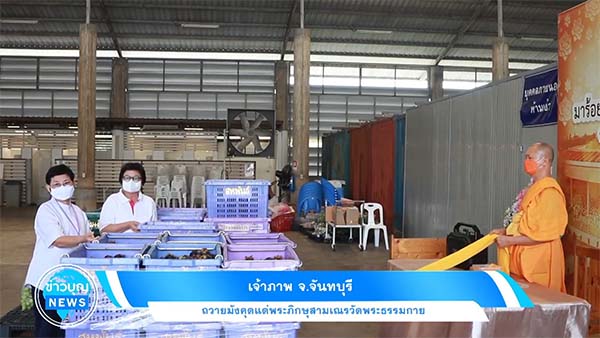 DMCupdates's tweet image. เจ้าภาพจังหวัดจันทบุรี ได้ถวายมังคุด จำนวน 58 ลัง แด่พระภิกษุสามเณรวัดพระธรรมกาย ณ โรงครัว 71 ปี dmc.tv/a28145