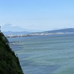 ツイートに含まれる画像