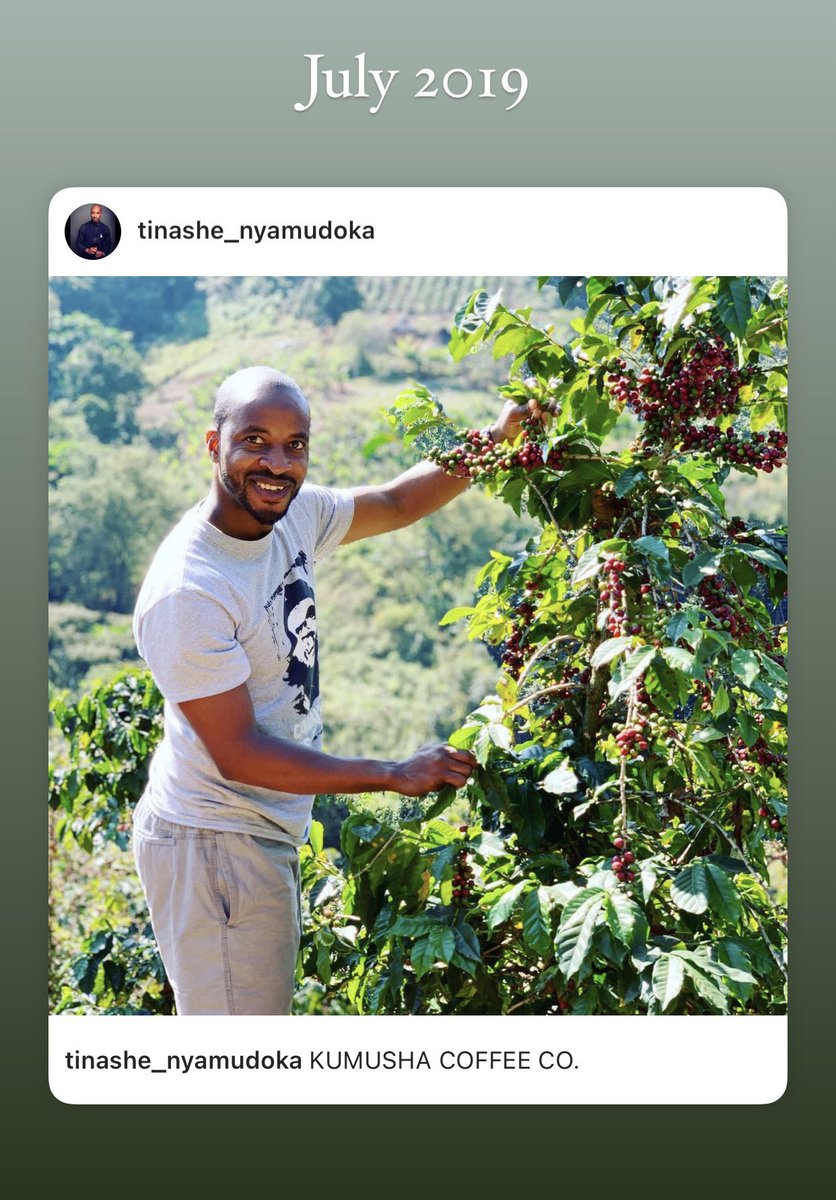 tnashenyamudoka's tweet photo. The process of creating something of value that changes lives. 3 years ago I made a promise. Now her coffee is being brewed across @WildHorizons lodges, restaurants and boat cruises in Vic Falls for local and international visitors. 🙏🏾 https://t.co/l7rDD0tX9v