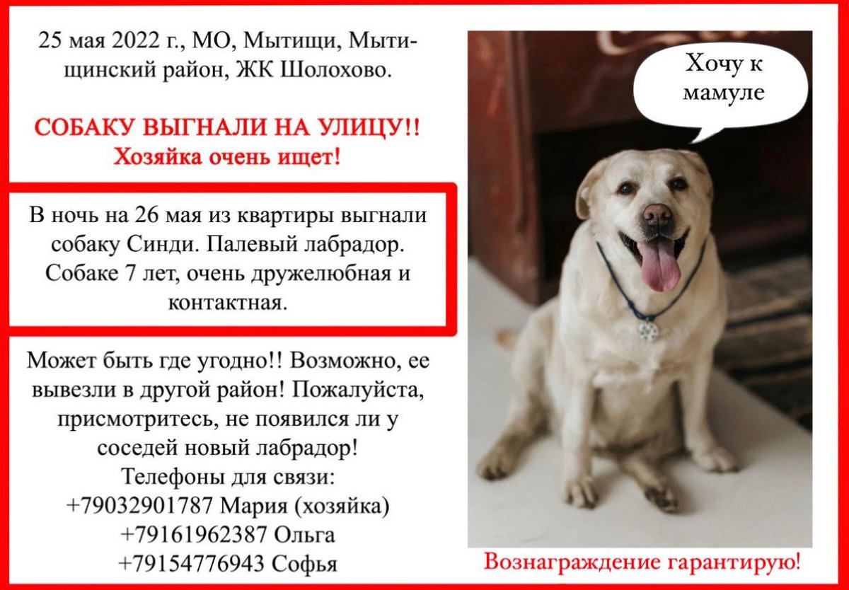 Мила Пим tweet media