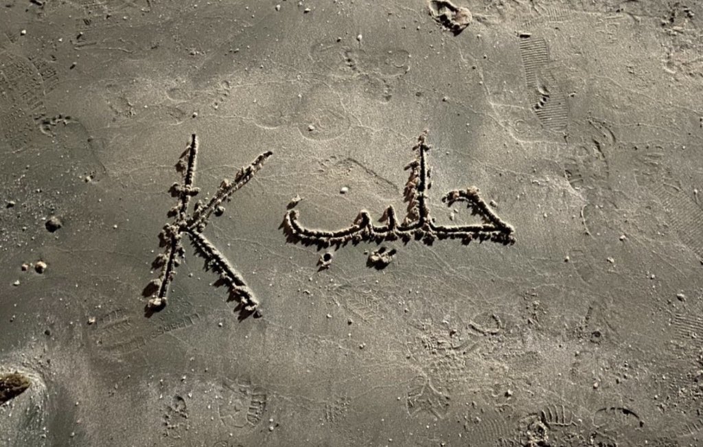 تتذكرون الهيدر ذا 😔