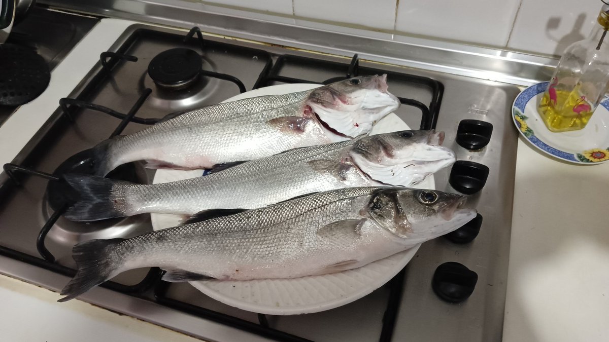 🏴‍☠️RDG🏴‍☠️danilo tweet media