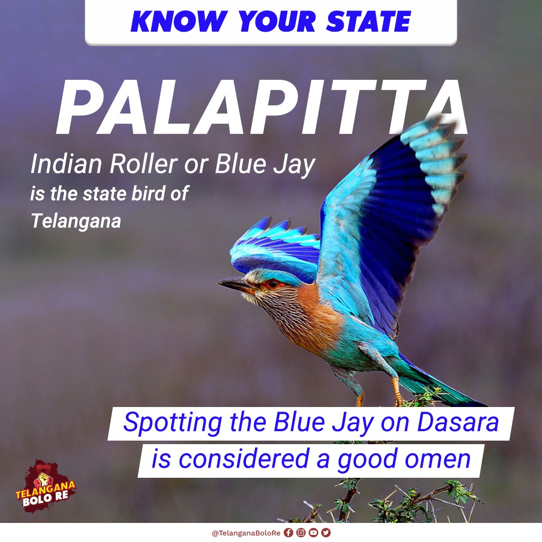 Telangana Bolo Re on Twitter: