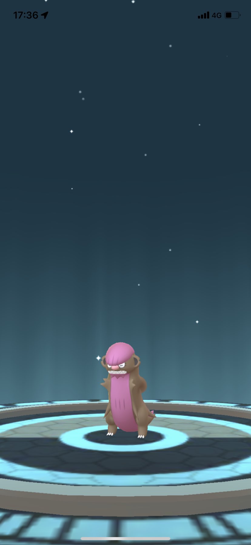 ポラリス ポケモンgo 1km歩くのタスクから色違いヤングース出ました 2匹目なのでデカグースに進化させてみました ポケモンgo 色違い ヤングース デカグース T Co Hdh9bwwlod Twitter