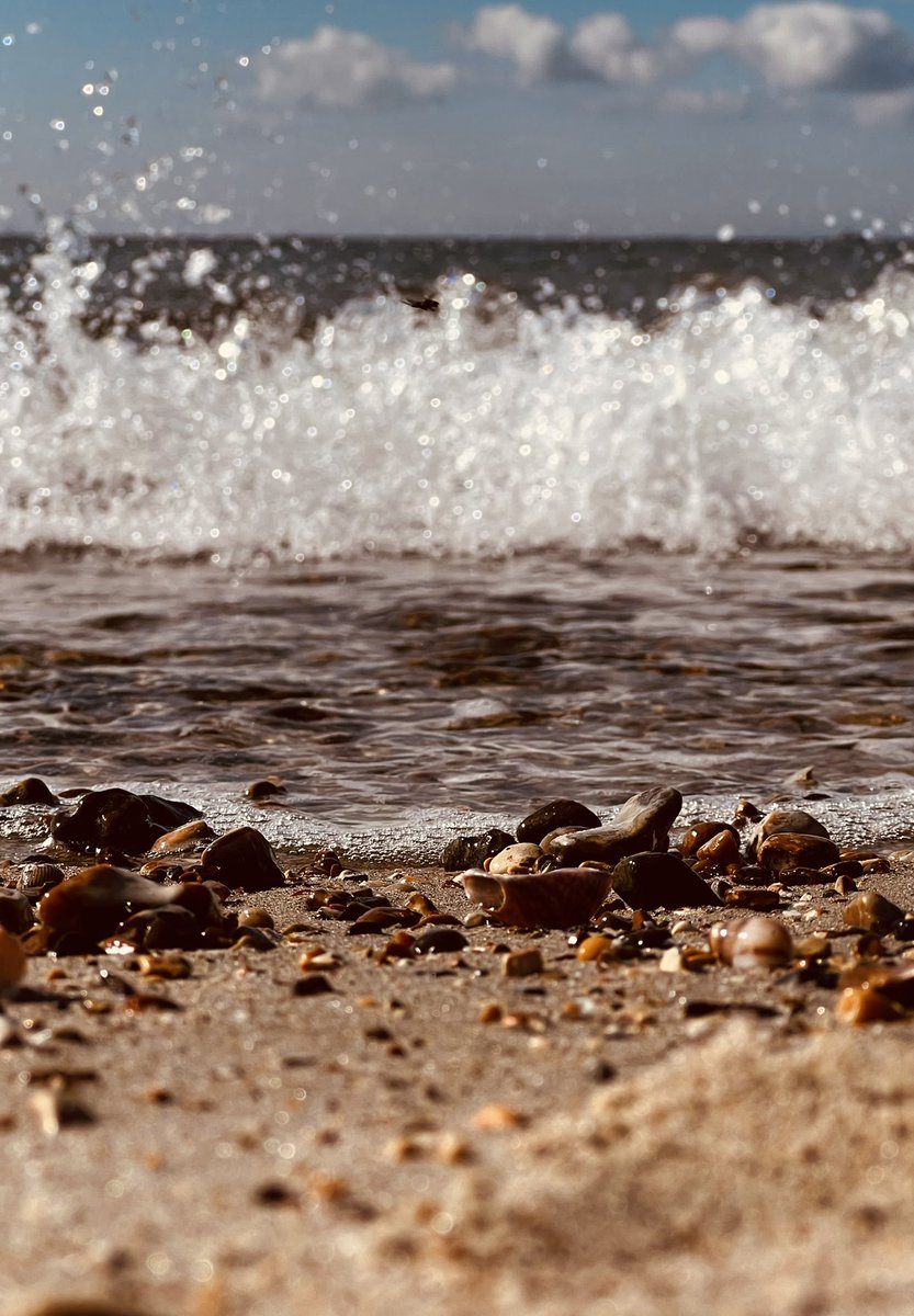 fivearchitects's tweet image. #seaswimming #southsea #spring #mentalhealth