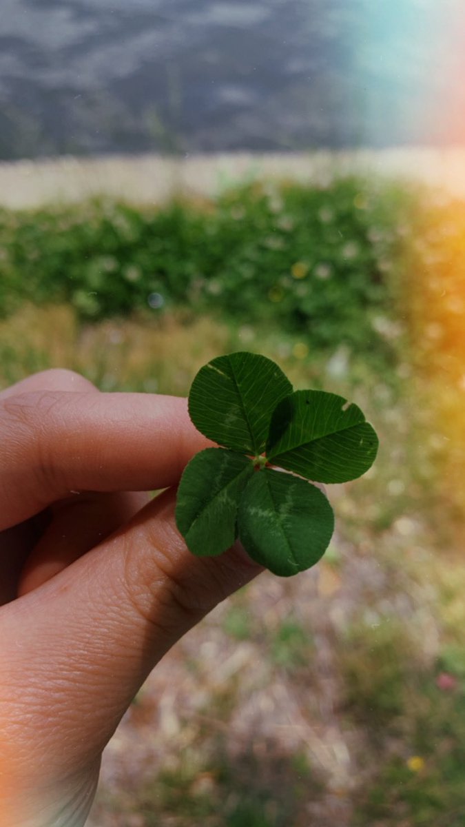 Dilekler tutuldu🍀