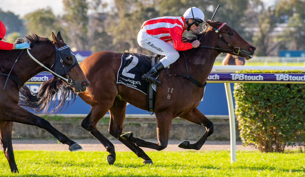 PerthRacing's tweet photo. Featherweight (Brad Rawiller) Won R8 Amelia Park Handicap at Belmont Park on Saturday 28 May. 📸 @WesternRacepix https://t.co/L6XyFkfxOG