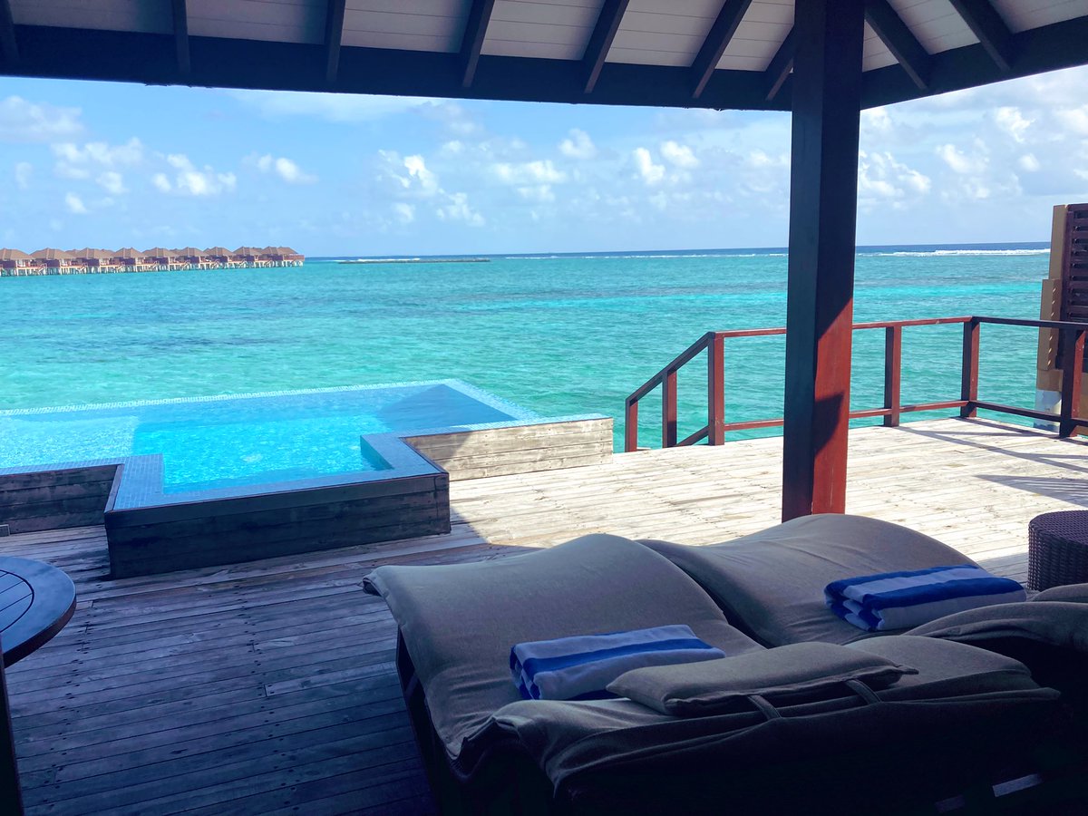 indiabishoku's tweet photo. シーフードが抜群に美味しいMaldives
ホテルはVARU by atmosphere
2019年にオープンしたそうで、ホスピタリティ/クオリティ共に素晴らしい！
海はもちろん綺麗、綺麗過ぎる！
シーフードレストランのNUは一度は行きたいレストラン！

#maldves
#varubyatmosphere https://t.co/okaj6HrSAD