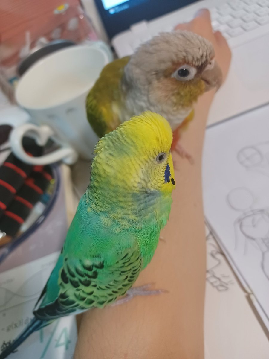 팔 더워......귀여워......더워......