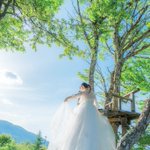 ツイートに含まれる画像